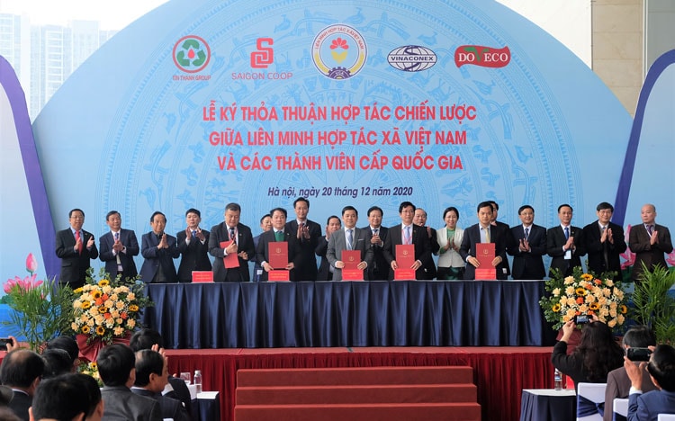 Nhân rộng mô hình HTX gắn với chuỗi thu mua, phân phối sản phẩm