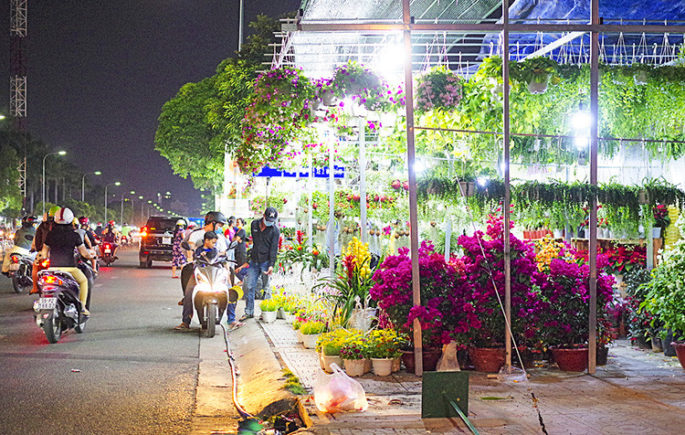Khu vực chợ hoa trên tuyến đường Thành Thái - Lý Thường Kiệt - Bắc Hải (Q.10, TP.HCM) năm nay bày bán đa dạng các loại hoa kiểng đến từ nhiều vùng miền.