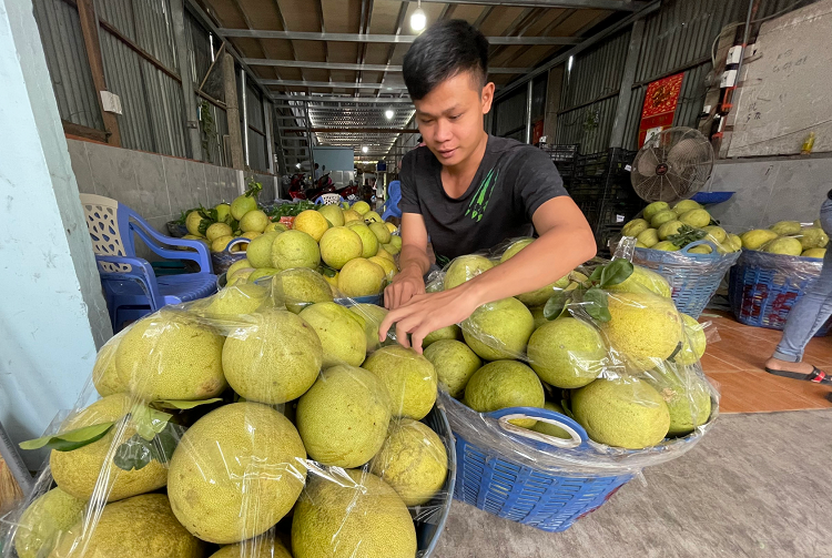 Tháo nút thắt để nông sản Việt ra ‘biển lớn’