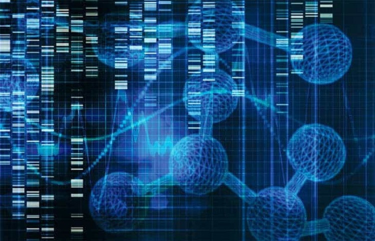 Y học cá thể hóa - Phương pháp xác định nguy cơ nhiễm virus dựa trên gen