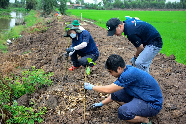 3M và WWF-Việt Nam trồng 8.000 cây xanh tại Láng Sen