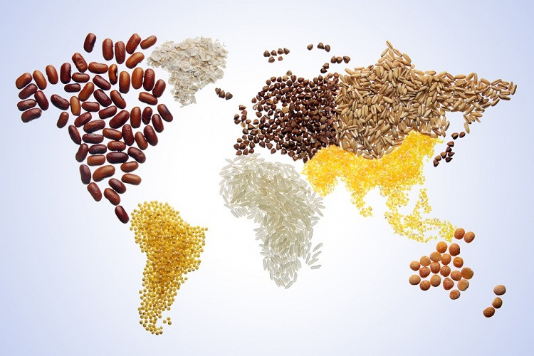 Giá lương thực toàn cầu tăng cao nhất trong gần một thập kỷ