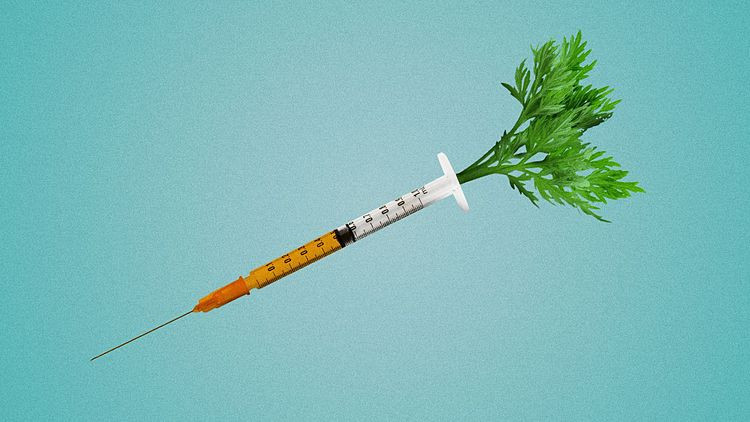 Để chiến dịch tiêm vaccine trên diện rộng thành công, các nhà chức trách có thể kết hợp khéo léo giữa cả củ cà rốt và cây gậy.