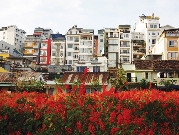 ol-da-lat-thanh-pho-nha-mo-c-s-2122-5993