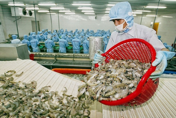 70% doanh nghiệp thủy sản ngừng hoạt động vì không đáp ứng 