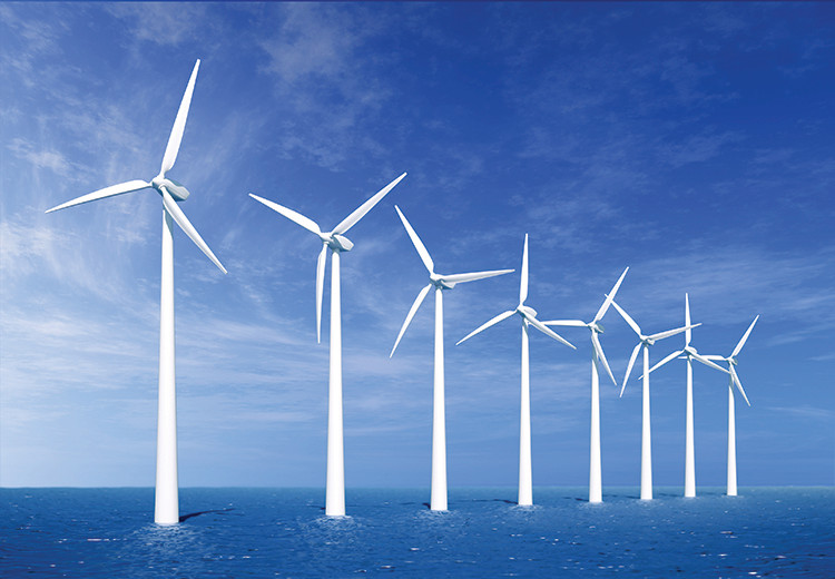 Hơn 20 nhà máy điện gió đã vận hành thương mại