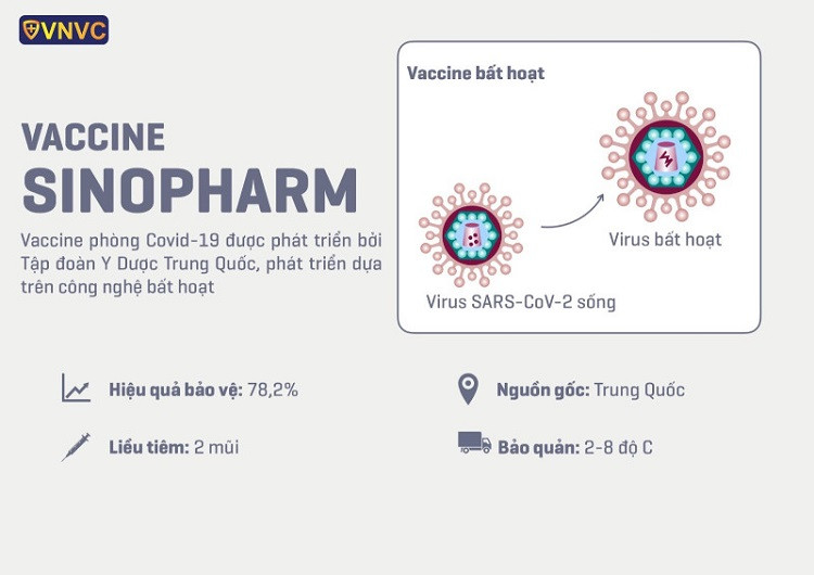 Vaccine Sinopharm: Hiệu quả và phản ứng phụ thường gặp