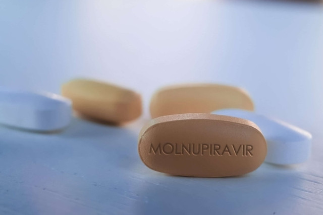 Bộ Y tế thí điểm cho F0 tại TP.HCM dùng thuốc Molnupiravir tại nhà