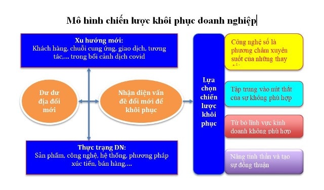 Mo-hinh-chien-luoc-khoi-phuc-d-8250-6507