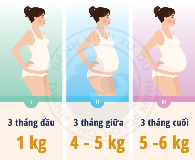 Với tình trạng dinh dưỡng bình thường (BMI: 18,5 - 24,9) mức tăng cân của người mẹ trong thai kỳ nên đạt là 10 - 12 kg