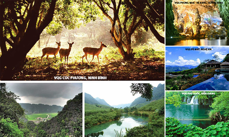 Khám phá những vườn quốc gia ở Việt Nam được báo nước ngoài bình chọn