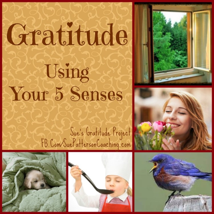 gratitude-5-senses-6275-1639717894.jpg