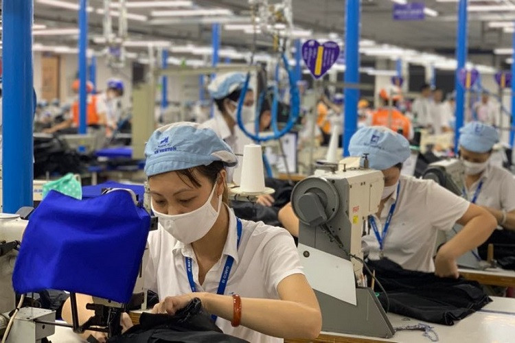 90% lao động Việt Nam mất việc nhưng không thể tìm việc mới
