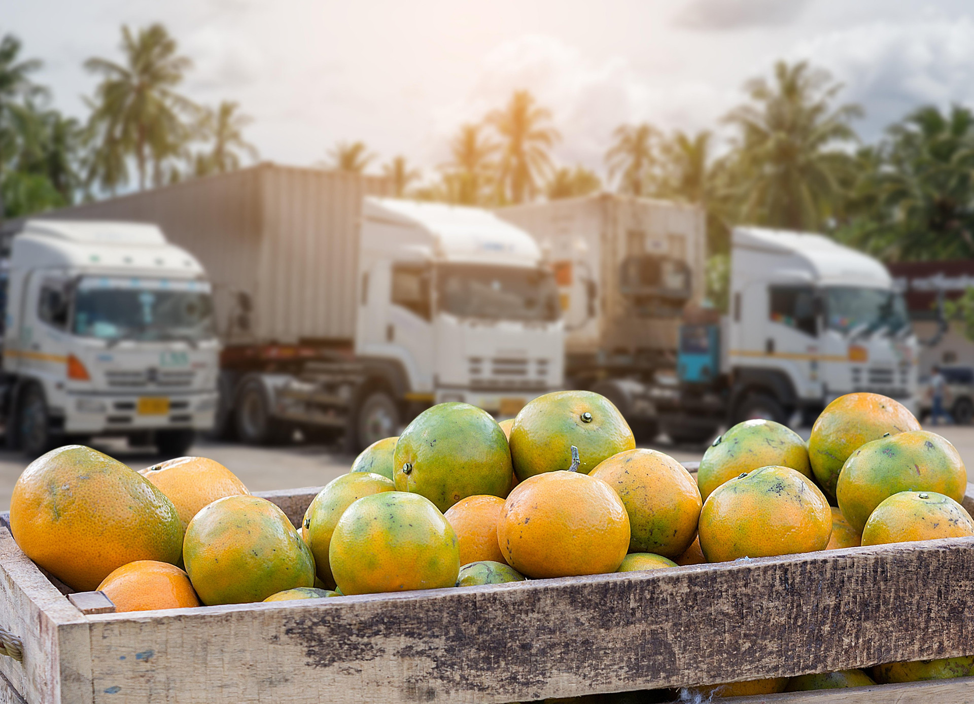 Thị trường logistics thực phẩm thông minh sẽ tăng trưởng mạnh