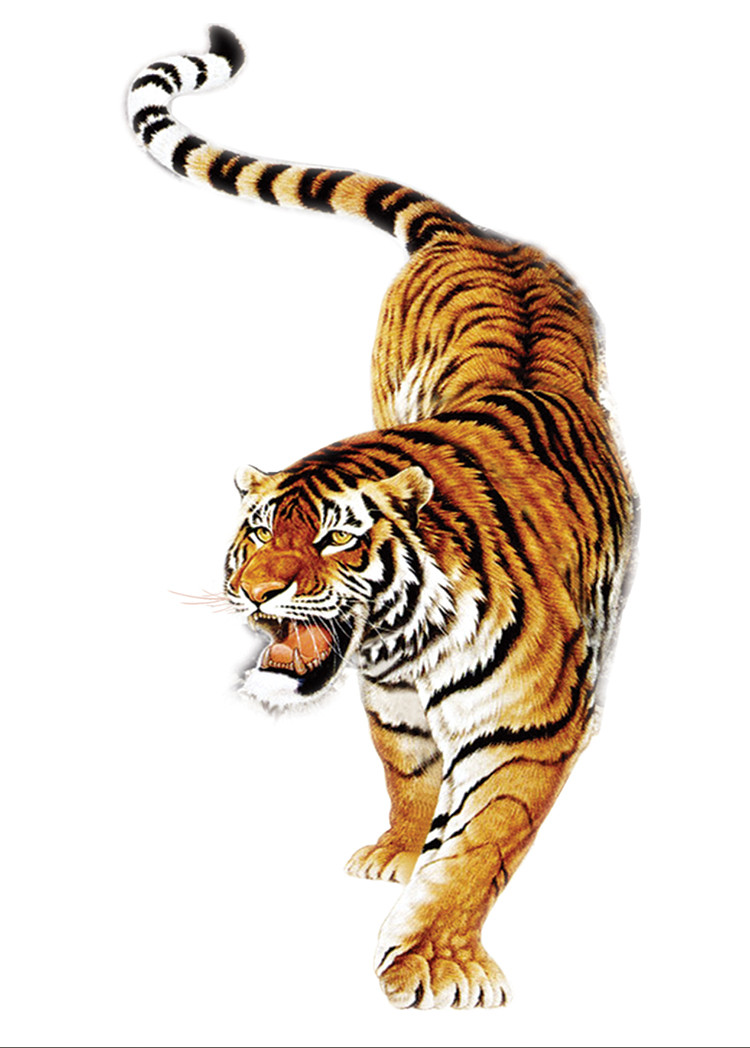 tiger-3-3917-1643275674.jpg