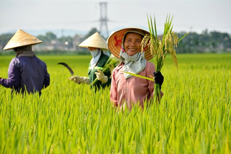 Việt Nam đặt mục tiêu có nền nông nghiệp hàng đầu thế giới vào năm 2050