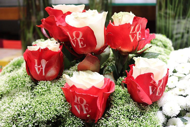 Hoa hồng in chữ "Love" giá 200.000 đồng/bông nhập khẩu từ Ecuador. Ảnh: Vân Nguyễn.
