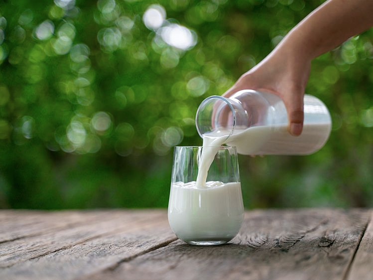 Sữa có đủ thành phần dinh dưỡng ở tỷ lệ cân đối, dễ tiêu hóa và hấp thu, phù hợp với người mới khỏi bệnh - Ảnh minh họa
