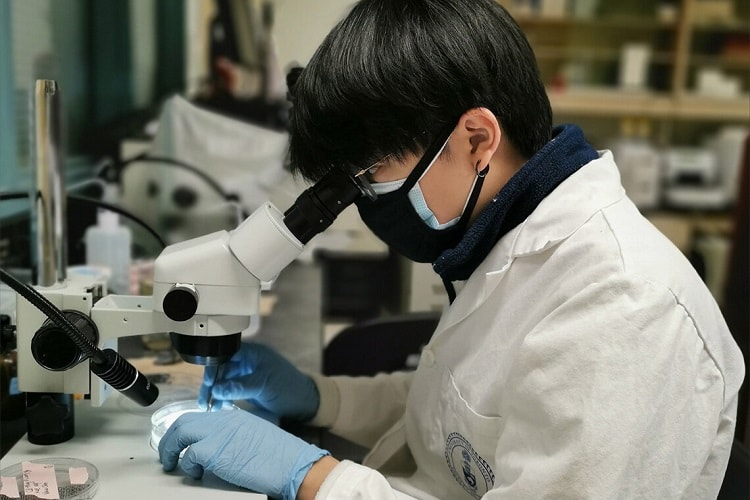 Việt Nam có nhiều cơ hội hút vốn vào lĩnh vực đổi mới sáng tạo
