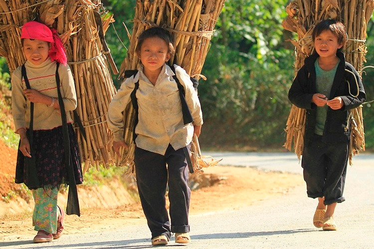 Việt Nam được đánh giá cao trong việc xóa bỏ lao động trẻ em
