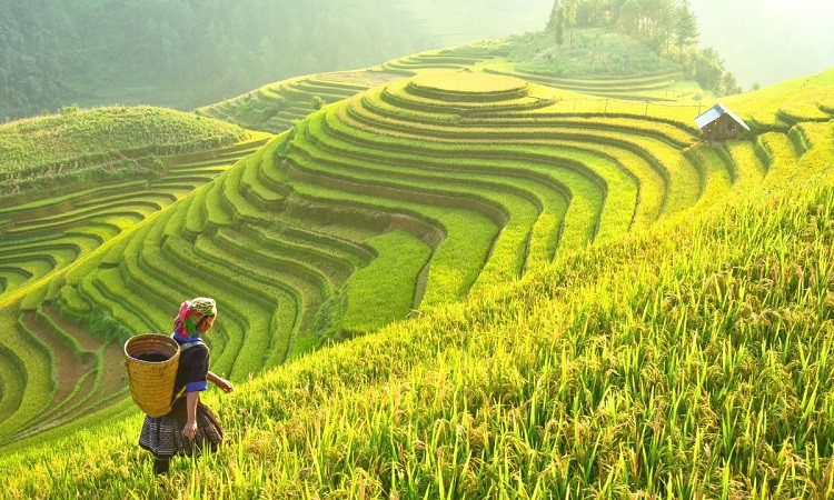 Năng lực phát triển của du lịch Việt Nam thuộc nhóm tăng cao nhất thế giới