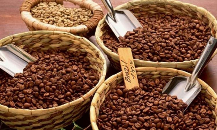 Xuất khẩu cà phê đạt trên 2 tỷ USD trong 5 tháng đầu năm 2022