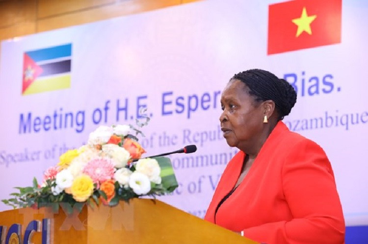 Doanh nghiệp Việt Nam có nhiều cơ hội đầu tư tại Mozambique