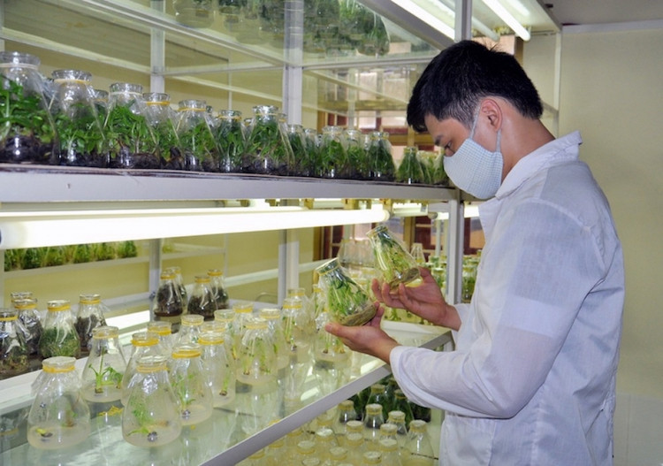 Việt Nam xếp hạng 46 trên toàn cầu về nghiên cứu chất lượng cao