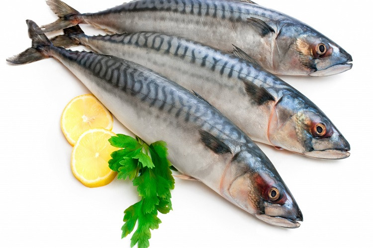 Ăn cá ít nhất 2 lần một tuần giảm 42% nguy cơ tử vong do mọi loại bệnh