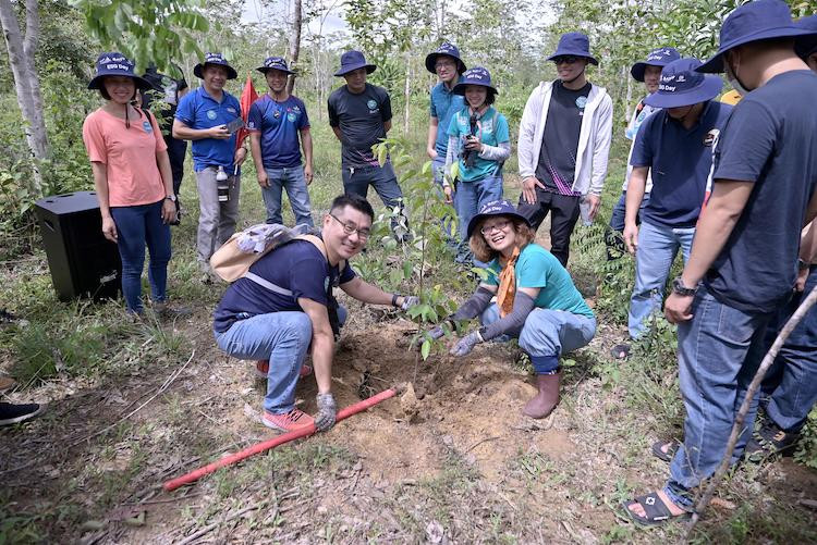 BAT Việt Nam hợp tác cùng Gaia trồng rừng tại Cà mau và Đồng Nai