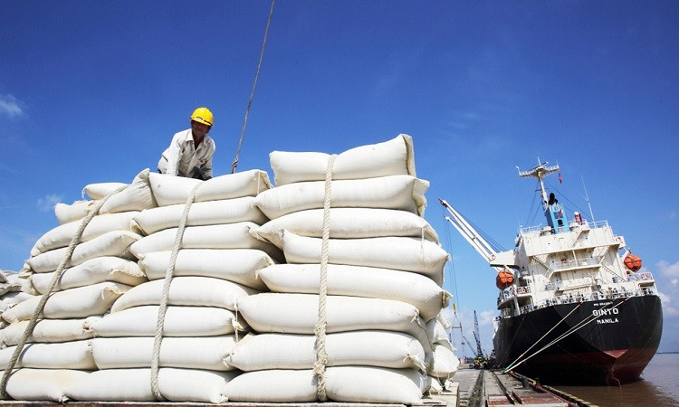 Xuất khẩu gạo: Dịch chuyển từ gạo loại thường sang gạo chất lượng cao