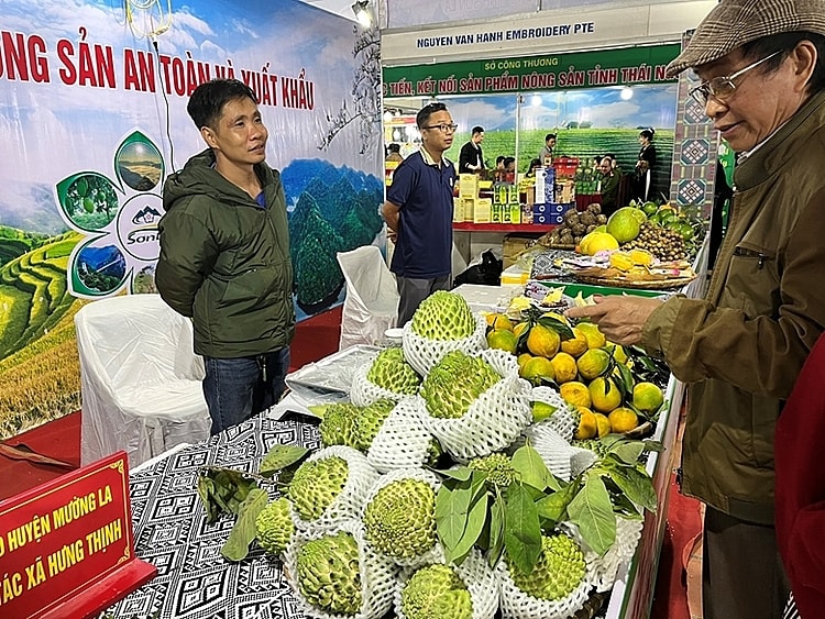 Các sản phẩm nông sản sạch được trưng bày tại Hội chợ.