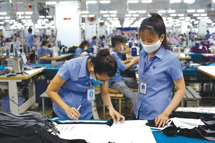 Khoảng 40% doanh nghiệp Việt Nam từng thu được lợi ích nhất định từ EVFTA