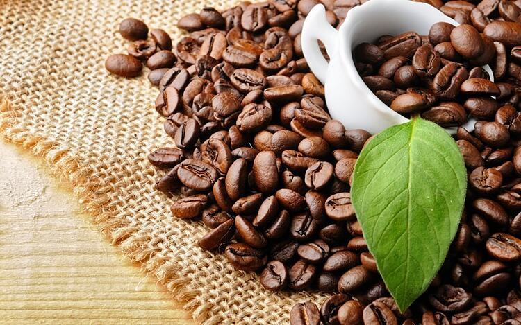 . USDA cũng dự báo xuất khẩu cà phê thế giới sẽ giảm 3 triệu bao trong niên vụ 2022-2023, xuống còn 116,1 triệu bao.
