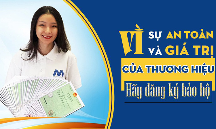 Monday VietNam: Đơn vị hàng đầu cung cấp dịch vụ đăng ký quyền tác giả