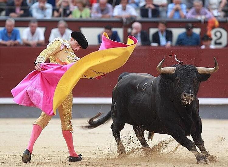 Lễ hội đua bò tót (Tây Ban Nha)