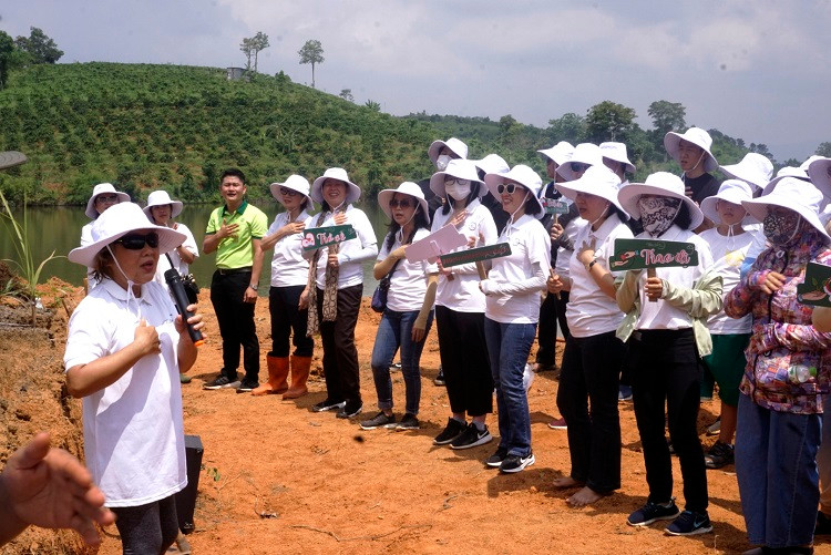 “Cộng đồng bầu trời bên trong” trồng 7.000 cây thông tại tỉnh Gia Lai