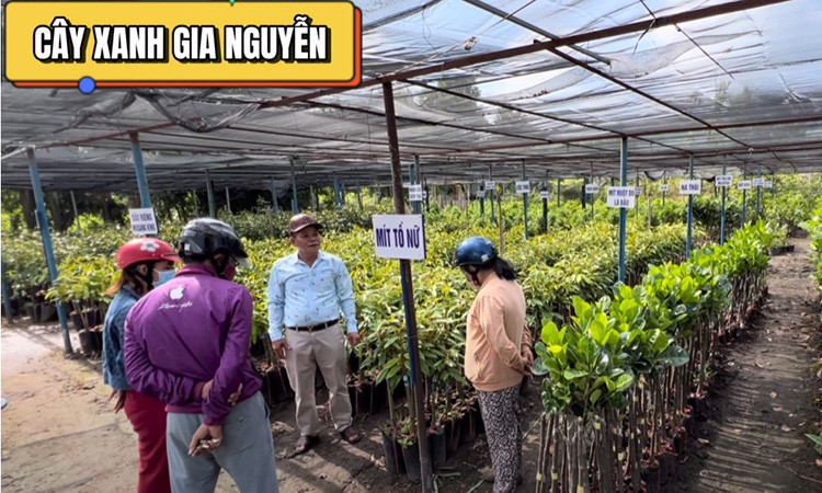Cây xanh Gia Nguyễn được bà con nông dân và khách hàng, đối tác tín nhiệm