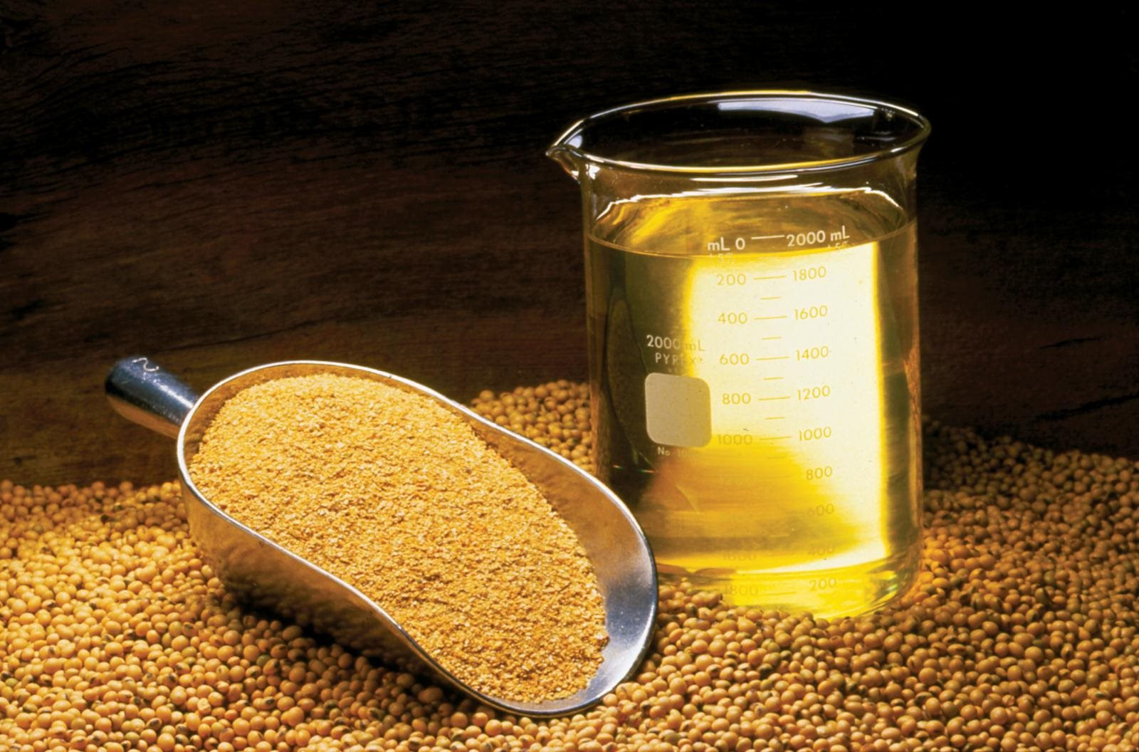 soybean_oil_meal_beans_0.jpg