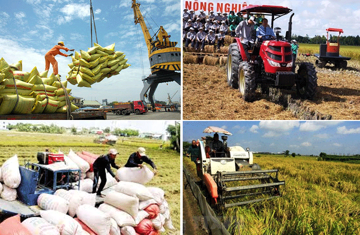Kim ngạch xuất khẩu gạo của Việt Nam đạt gần 3,7 tỷ USD | Cổng TTĐT tỉnh Hà Tĩnh