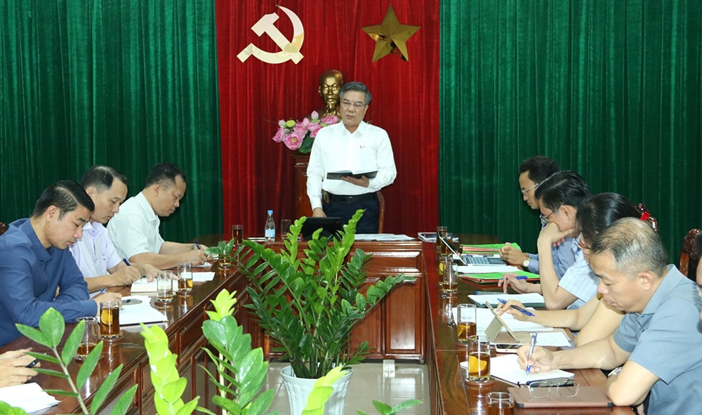 Phó chủ tịch UBND tỉnh Dương Minh Dũng chỉ đạo tại cuộc họp. Ảnh: V.Thế