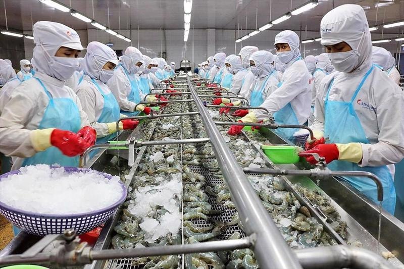 Việt Nam lần đầu lọt top 4 đối tác xuất khẩu thủy sản vào Singapore