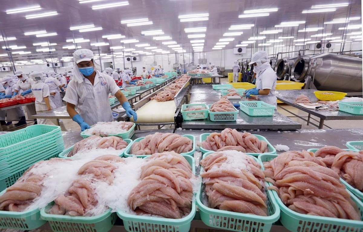 Xuất khẩu cá tra đón nhận tín hiệu tốt từ thị trường Mỹ và Trung Quốc | Vietnam Foodexpo