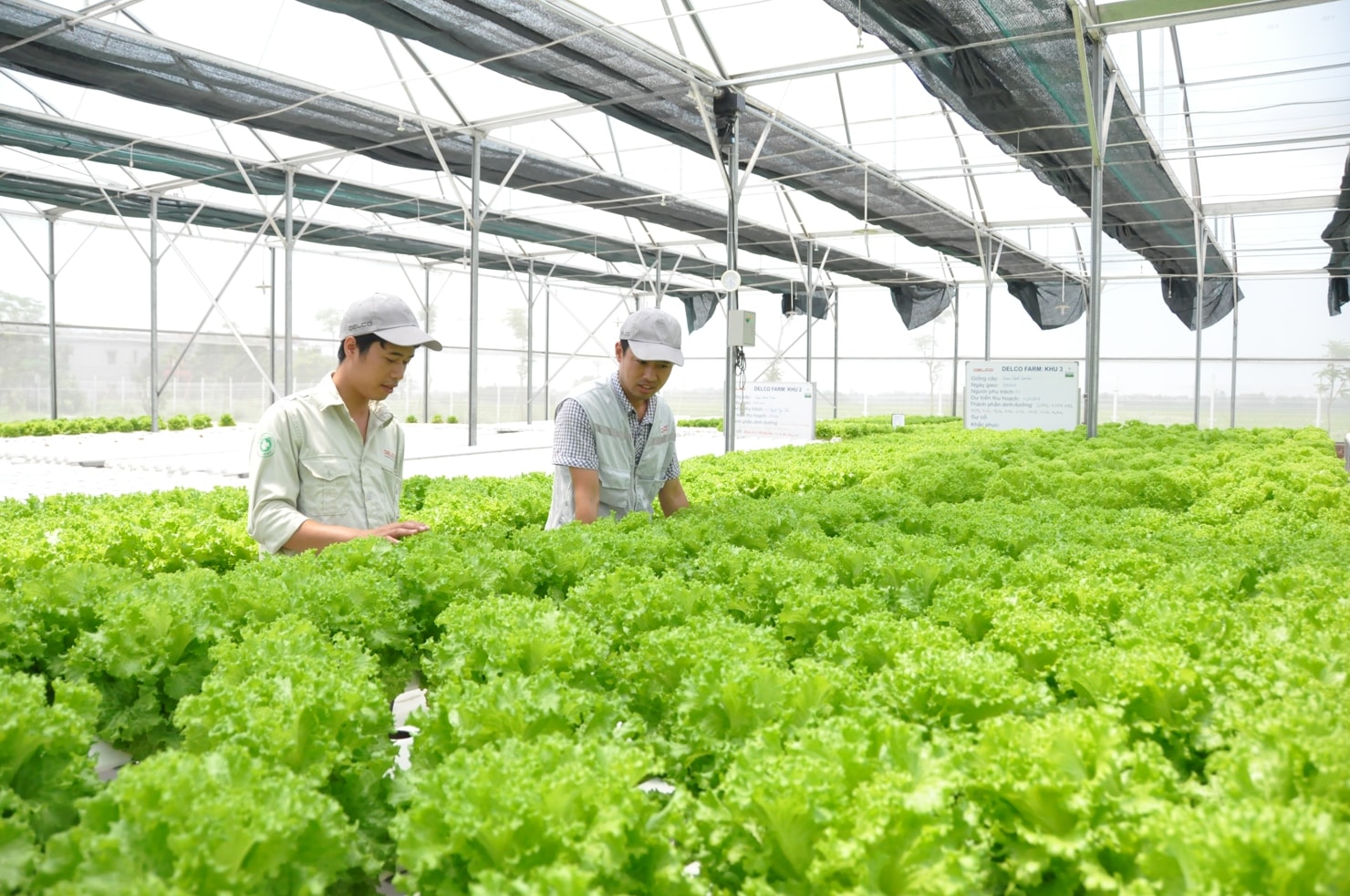 Sự phát triển của nông nghiệp thông minh là đòi hỏi tất yếu đối với nông nghiệp thế giới.