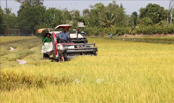 vna_potal_kien_giang_thu_hoach_lua_vu_dong_xuan_2021_-_2022_stand.jpg