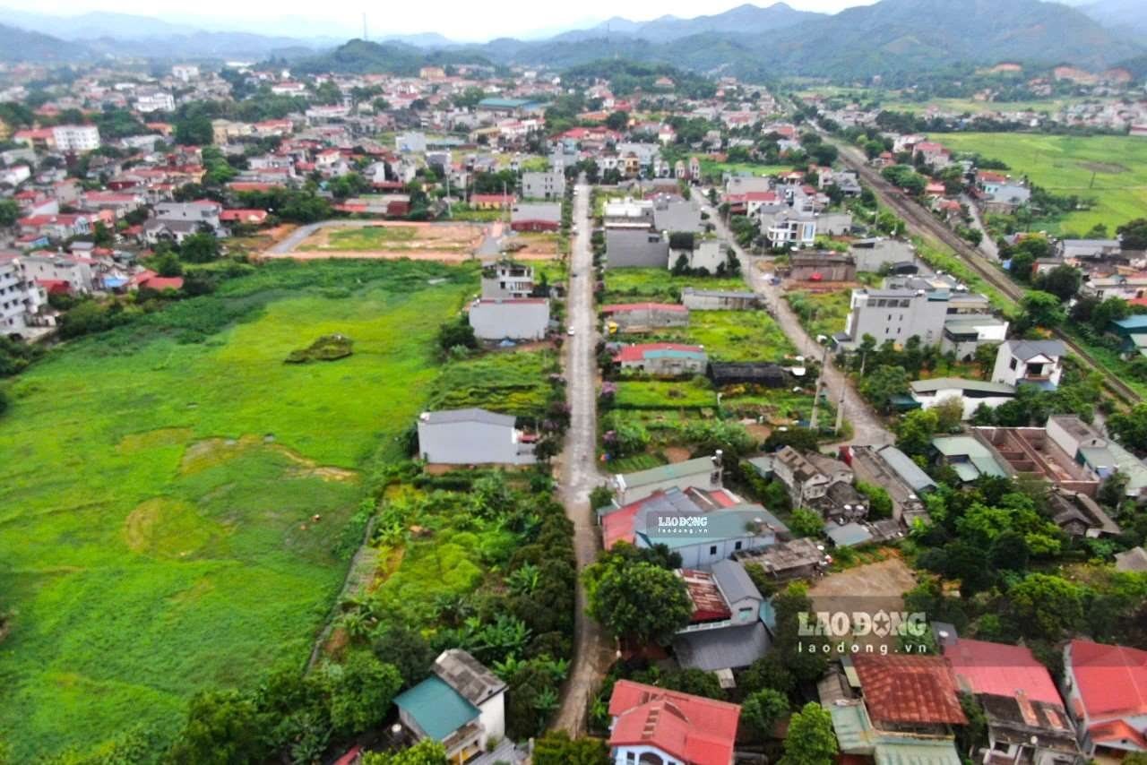 cho_trung_tam-01.jpg