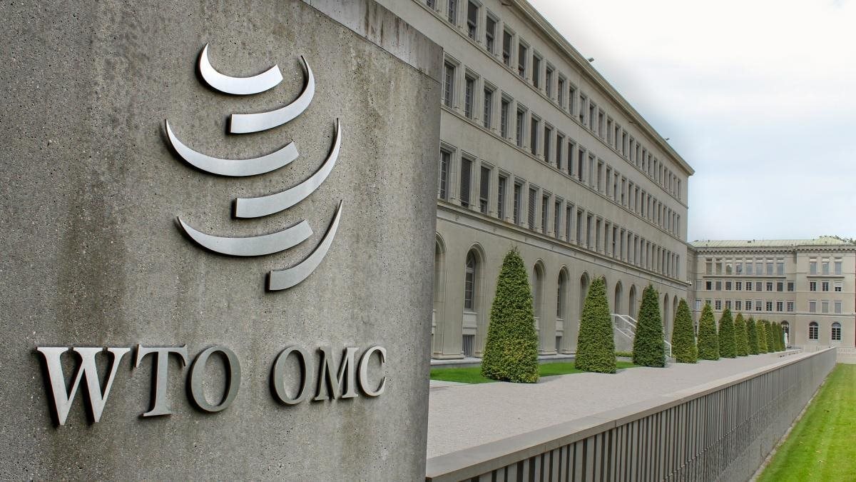bieu-cam-ket-wto-bieu-cam-ket-dich-vu-wto-cua-viet-nam.jpeg