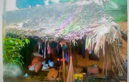 Nhà ông Tướng Văn Thanh trước khi làm
