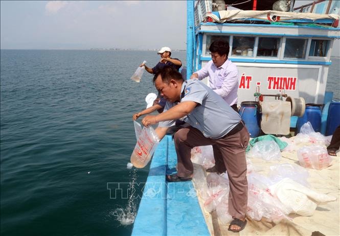 thuy-san.jpg