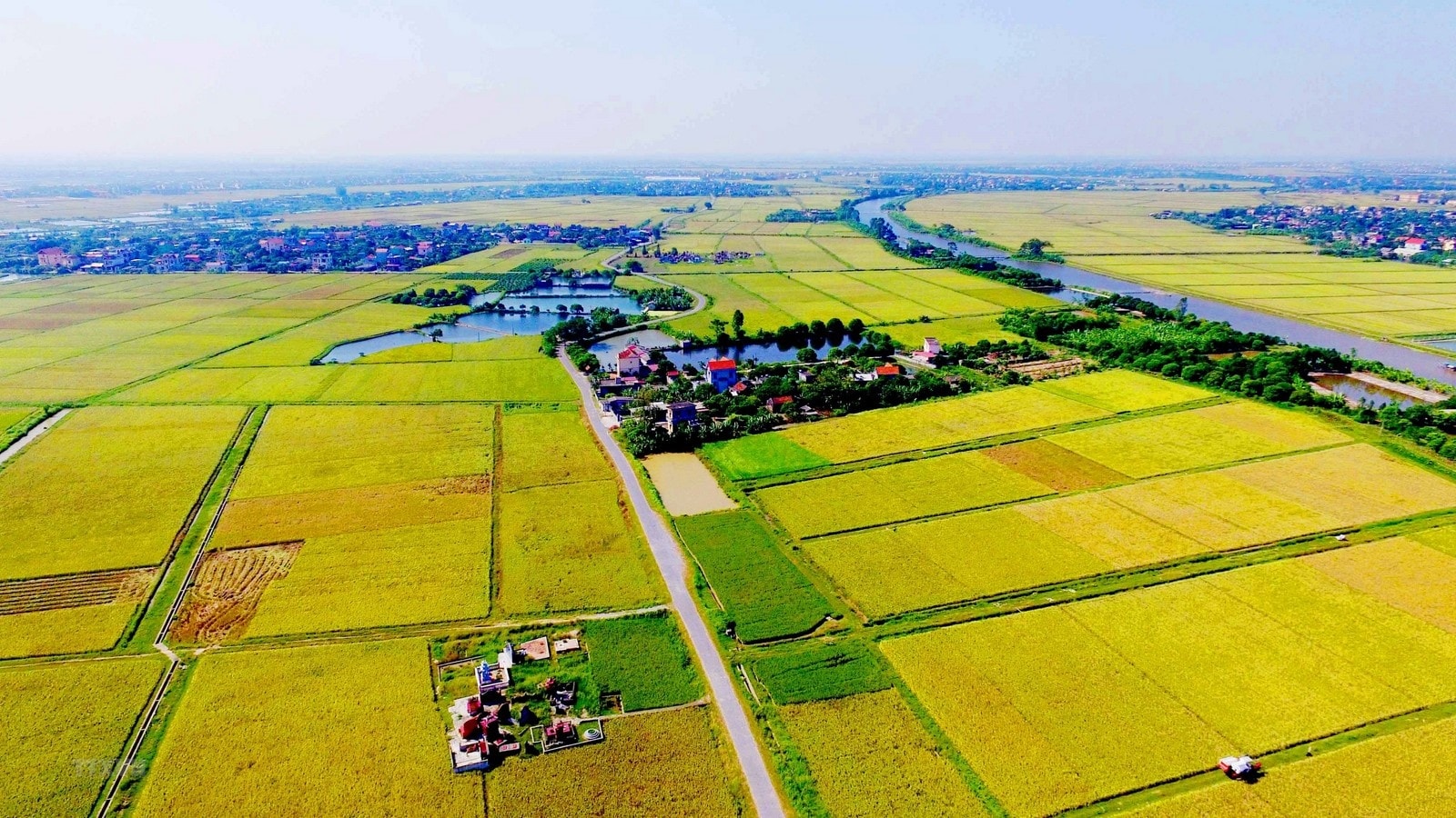 dong-tinh-voi-chinh-sach-mien-thue-su-dung-dat-nong-nghiep-1746514274.jpg